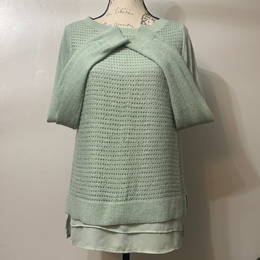 The Limited Light Green Women's Sweater